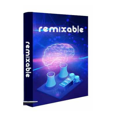 Remix Your Business and Transform Your Life